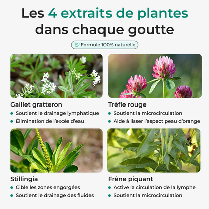 Lynae - Drainant Lymphatique